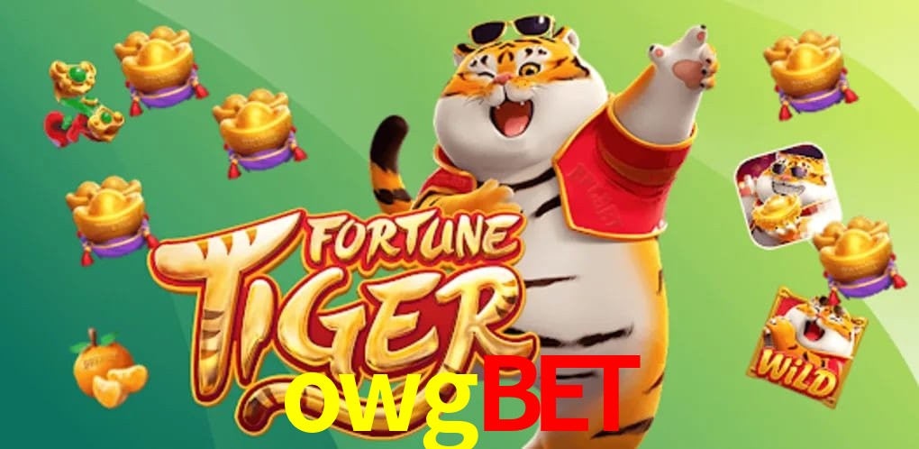 Crash Games Strategies owgbet